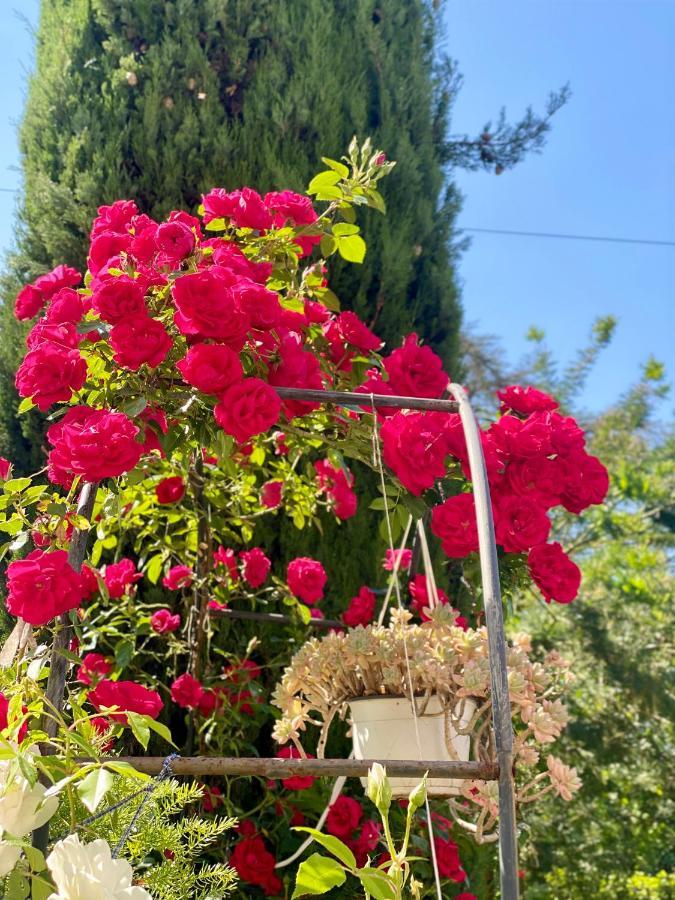 فندق Casa Luba لوكا المظهر الخارجي الصورة